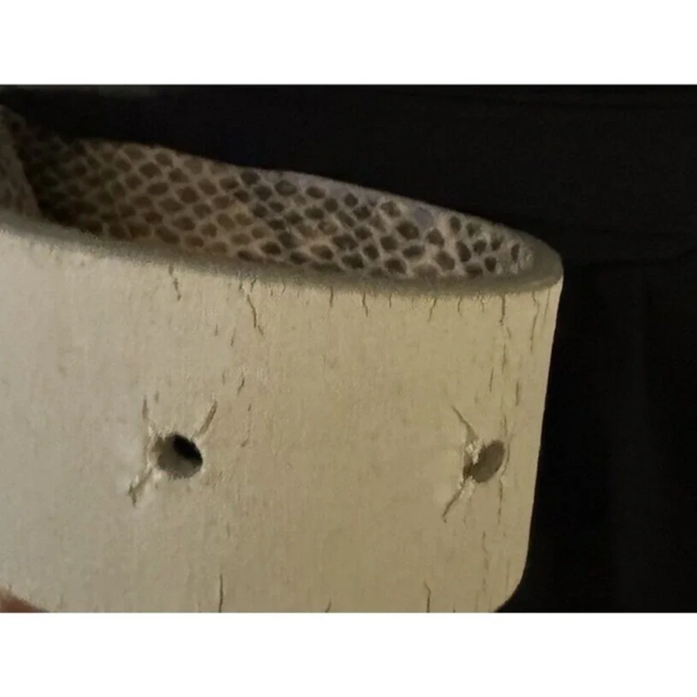 New York & Co Snakeskin Print Belt Beige Brown Silver Buckle L Preppy chic 47-58